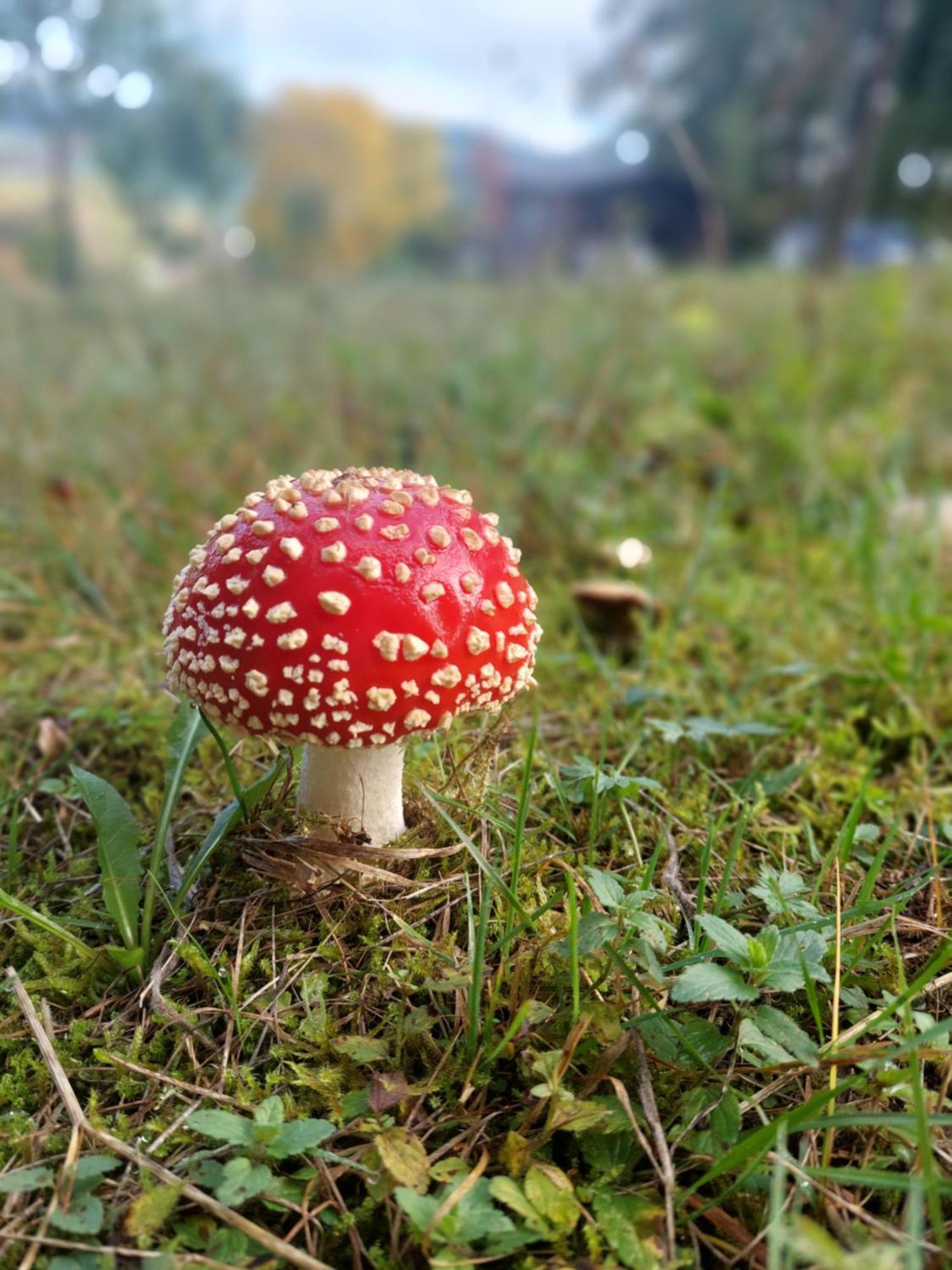 Chata Na Samote, Sumava Vrhavec Exterior foto