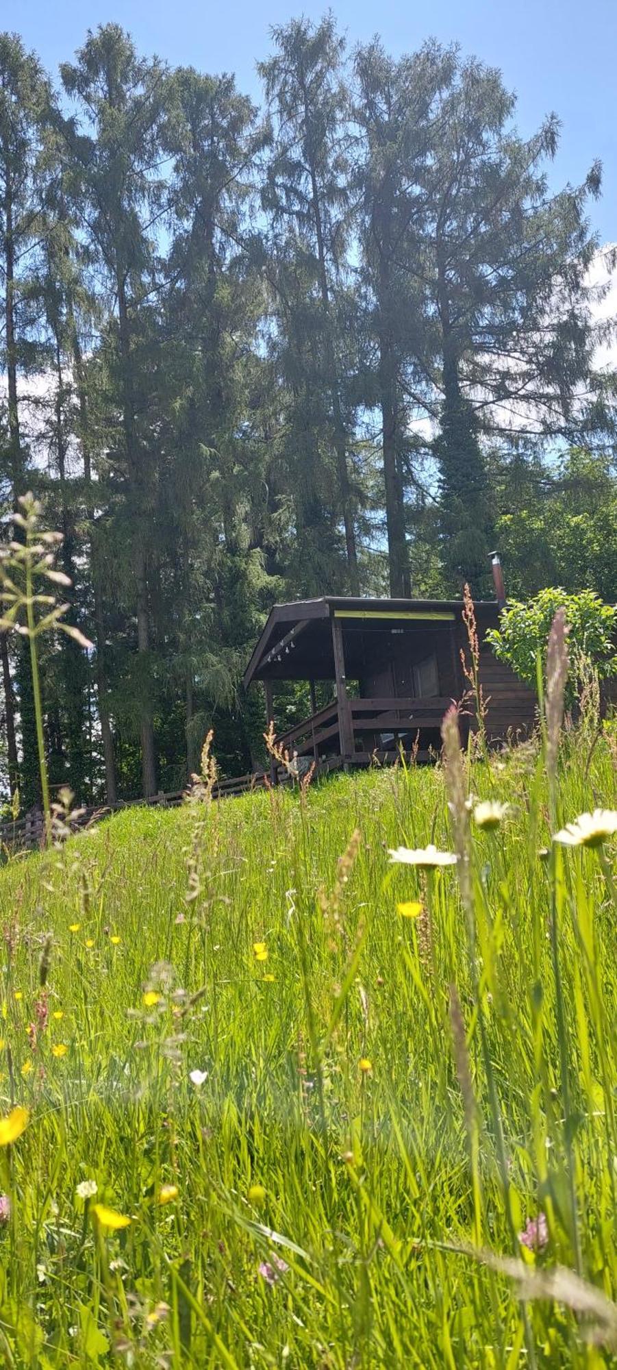 Chata Na Samote, Sumava Vrhavec Exterior foto