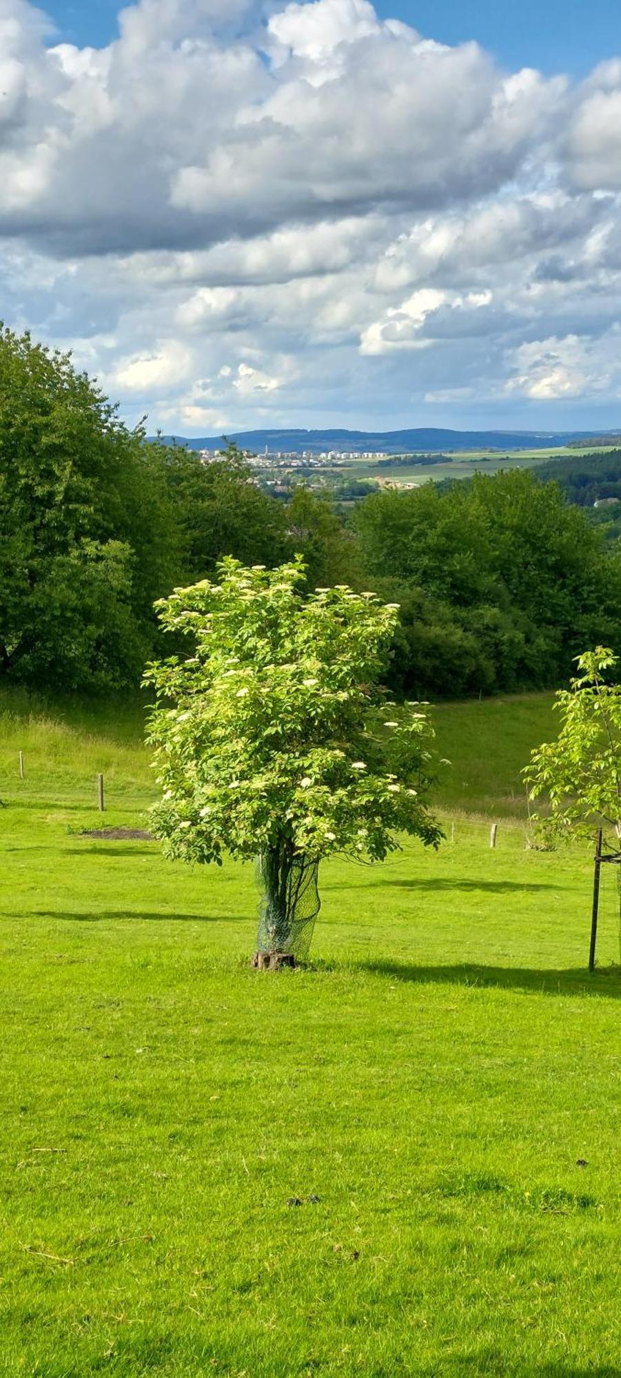 Chata Na Samote, Sumava Vrhavec Exterior foto