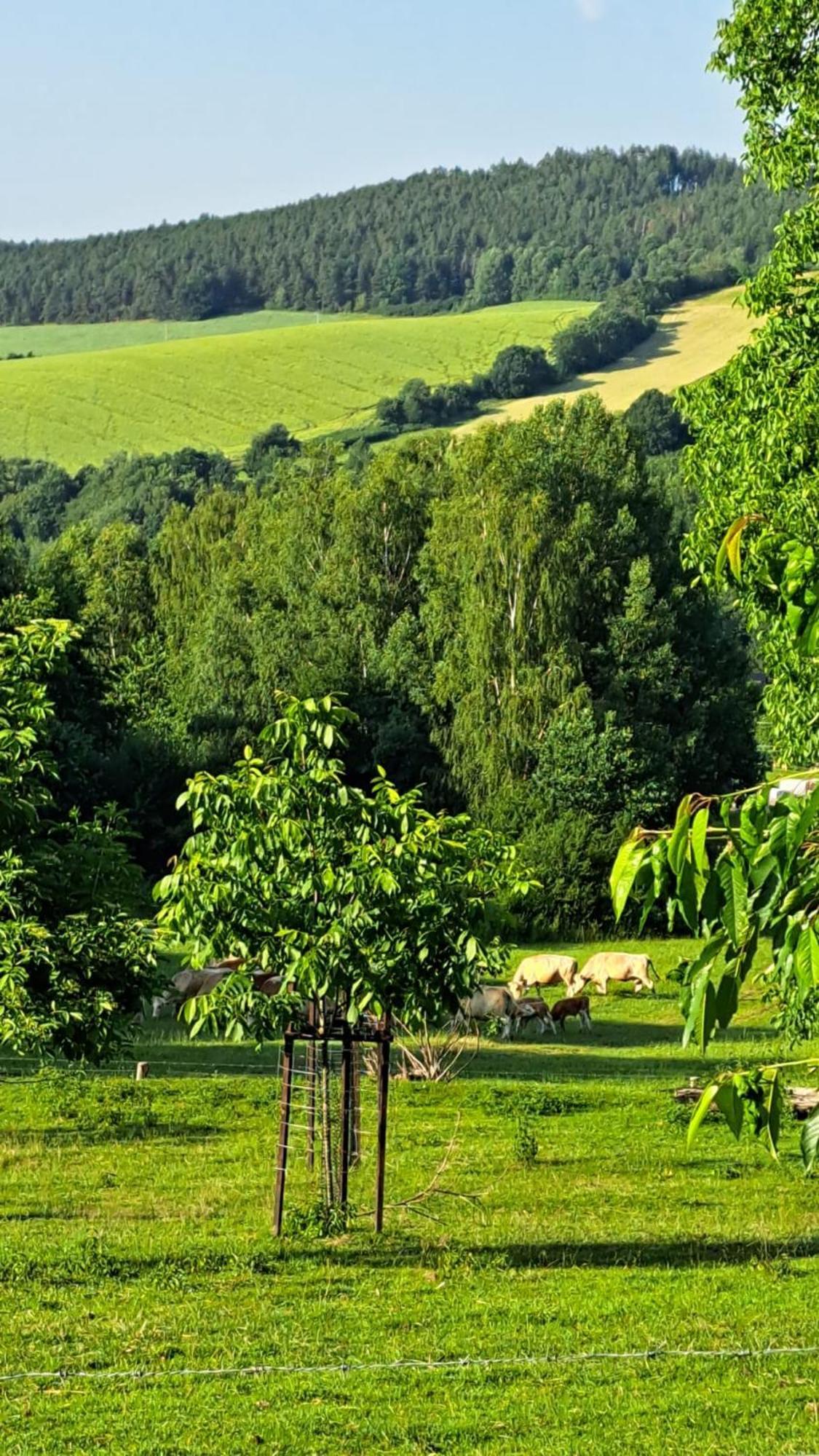 Chata Na Samote, Sumava Vrhavec Exterior foto
