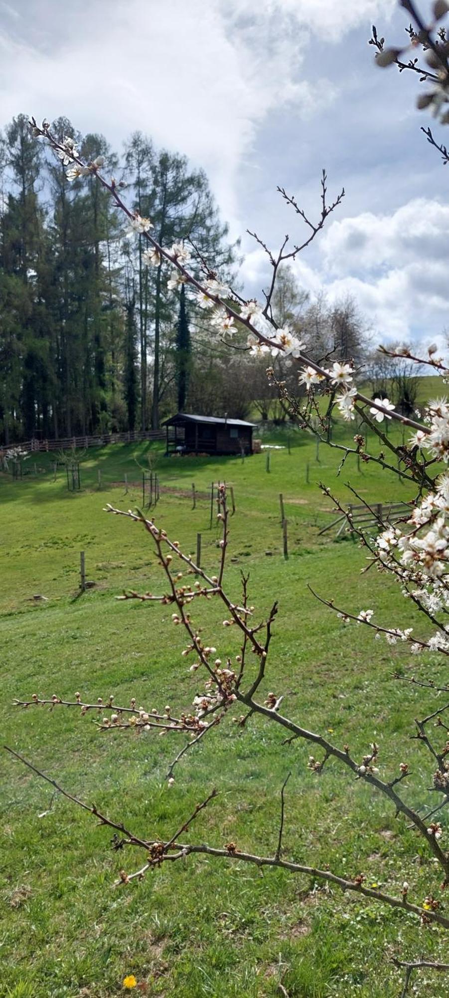 Chata Na Samote, Sumava Vrhavec Exterior foto