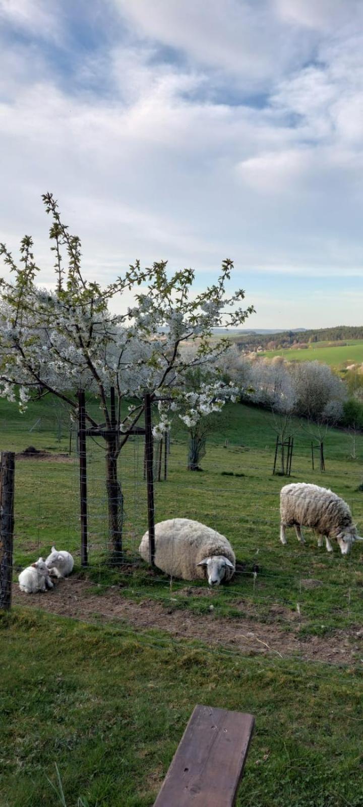 Chata Na Samote, Sumava Vrhavec Exterior foto